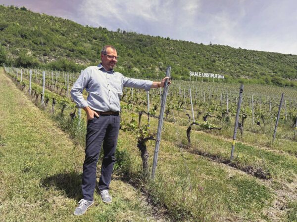 Landesweingut Kloster Pforta