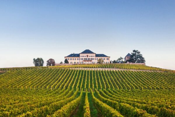 Hey & Friends mit Schloss Johannisberg